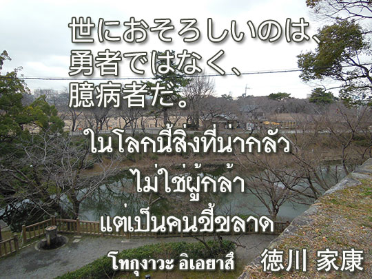 รวมคำแปลวล เด ดจากญ ป น Hinaboshi 雛星 รวมคำแปลวล เด ดจากญ ป น Hinaboshi 雛星